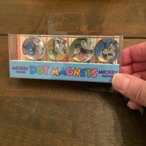 NWT Disney Parks Magnet Set!